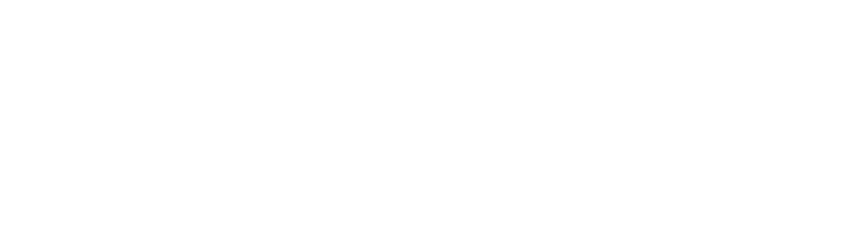 STAP NEWYEARFAIR 2026